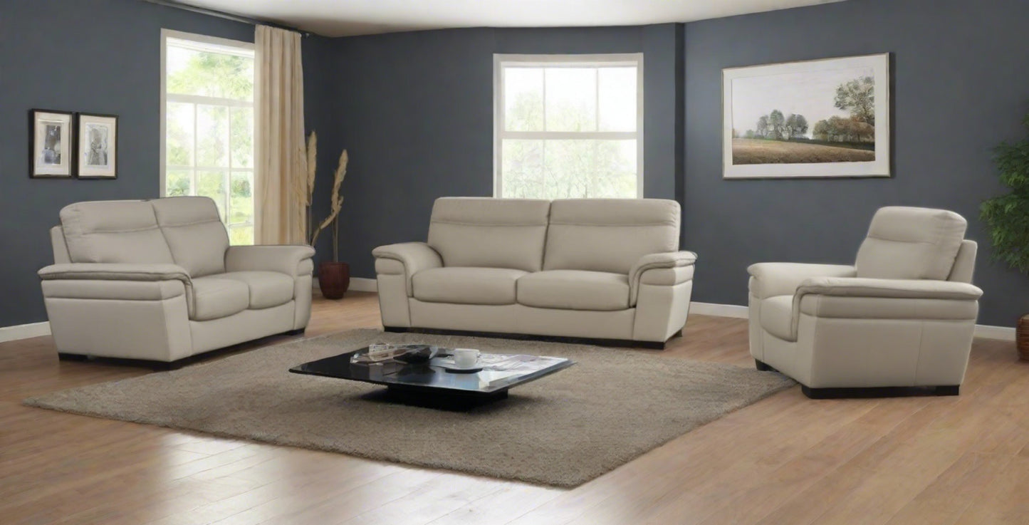 EK020 Italian Leather Sofa Set