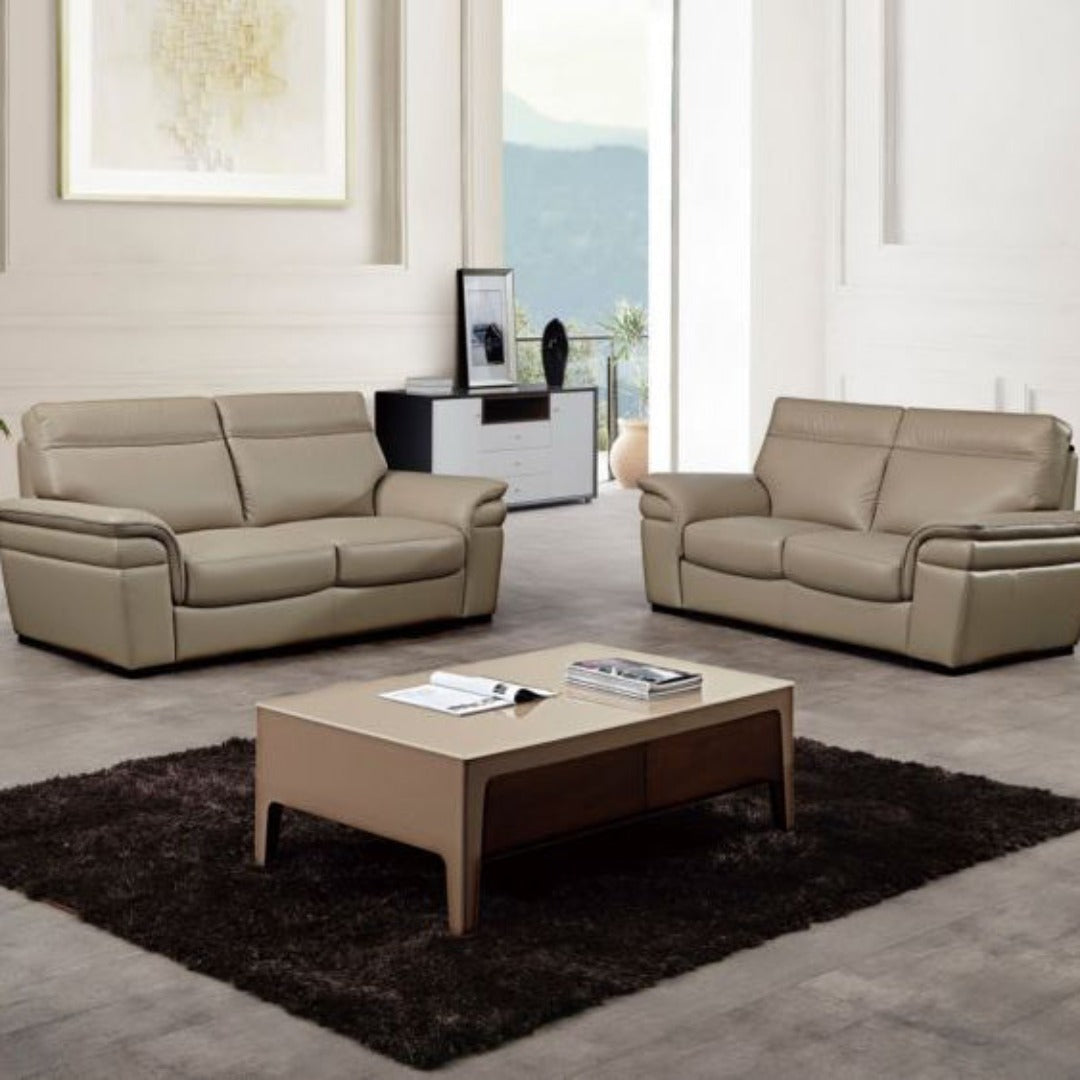 EK020 Italian Leather Sofa Set
